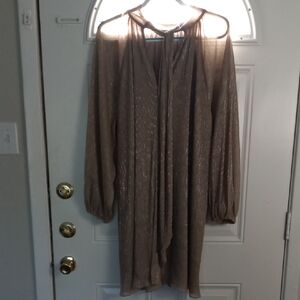 Elegant Brown Sheer Dress
